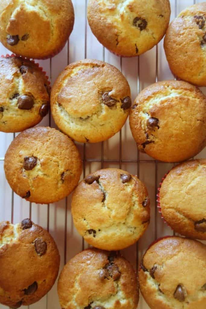 Chocolate chip muffins viewed from above
