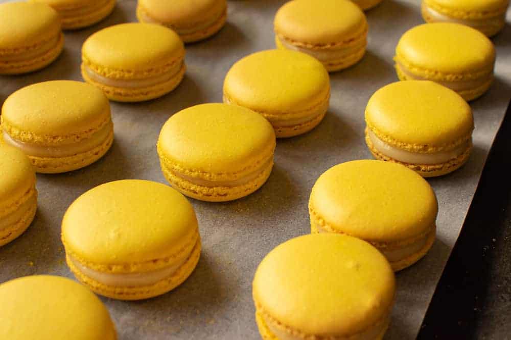 Lemon macarons finished and lined up in rows