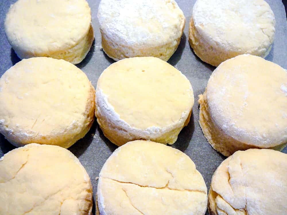 Rounds cut from soft dough on a baking sheet.