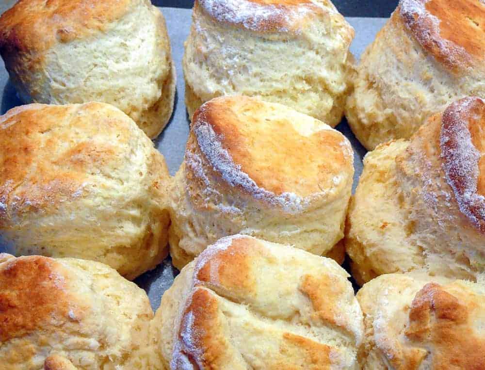 Nine golden brown baked scones in 3 by 3 formation.