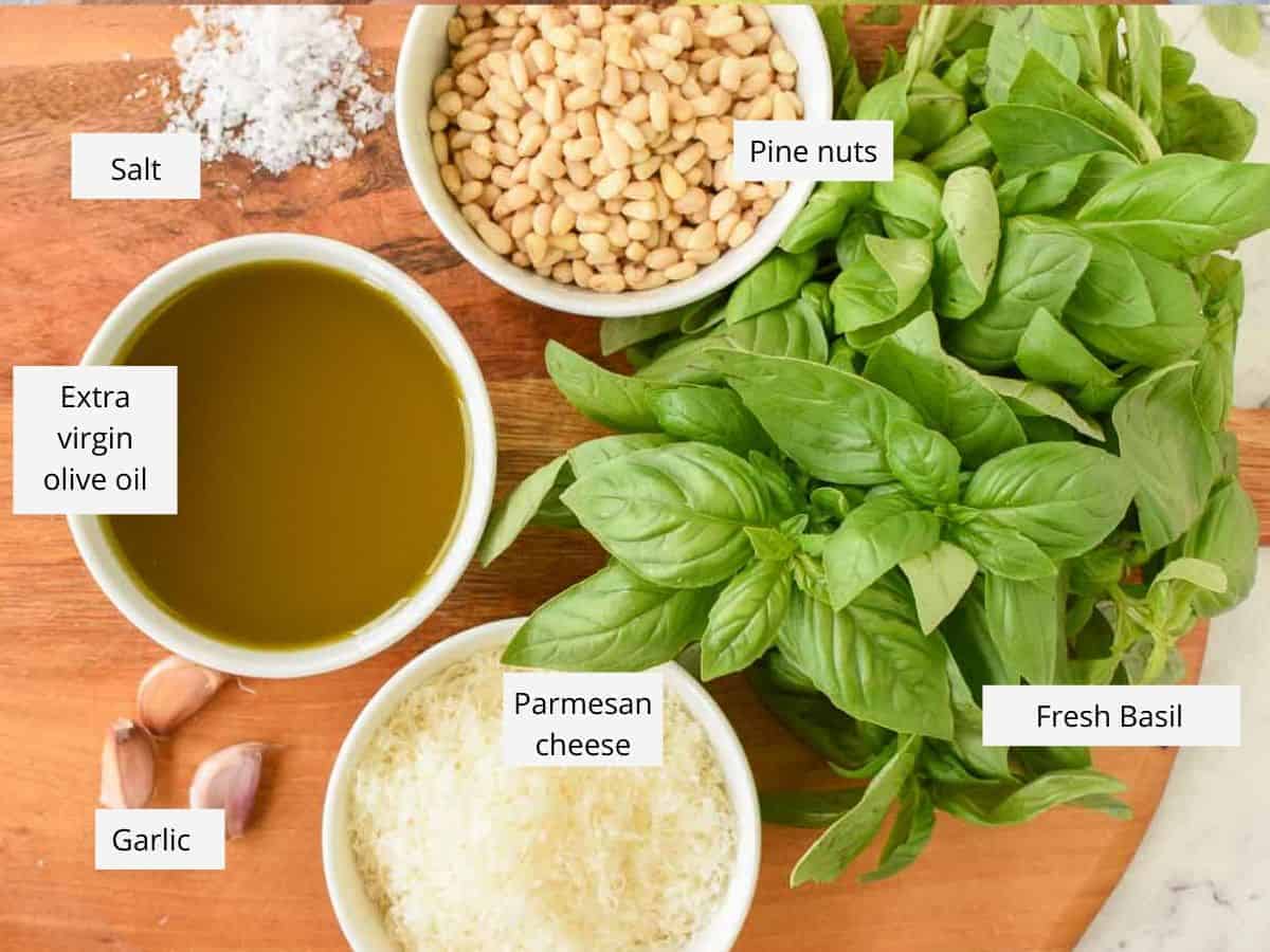fresh basil, grated parmesan cheese, garlic cloves, olive oil, salt and pine nuts viewed from above with identification tags near each item. fresh basil, grated parmesan cheese, garlic cloves, olive oil, salt and pine nuts viewed from above with identification tags near each item.
