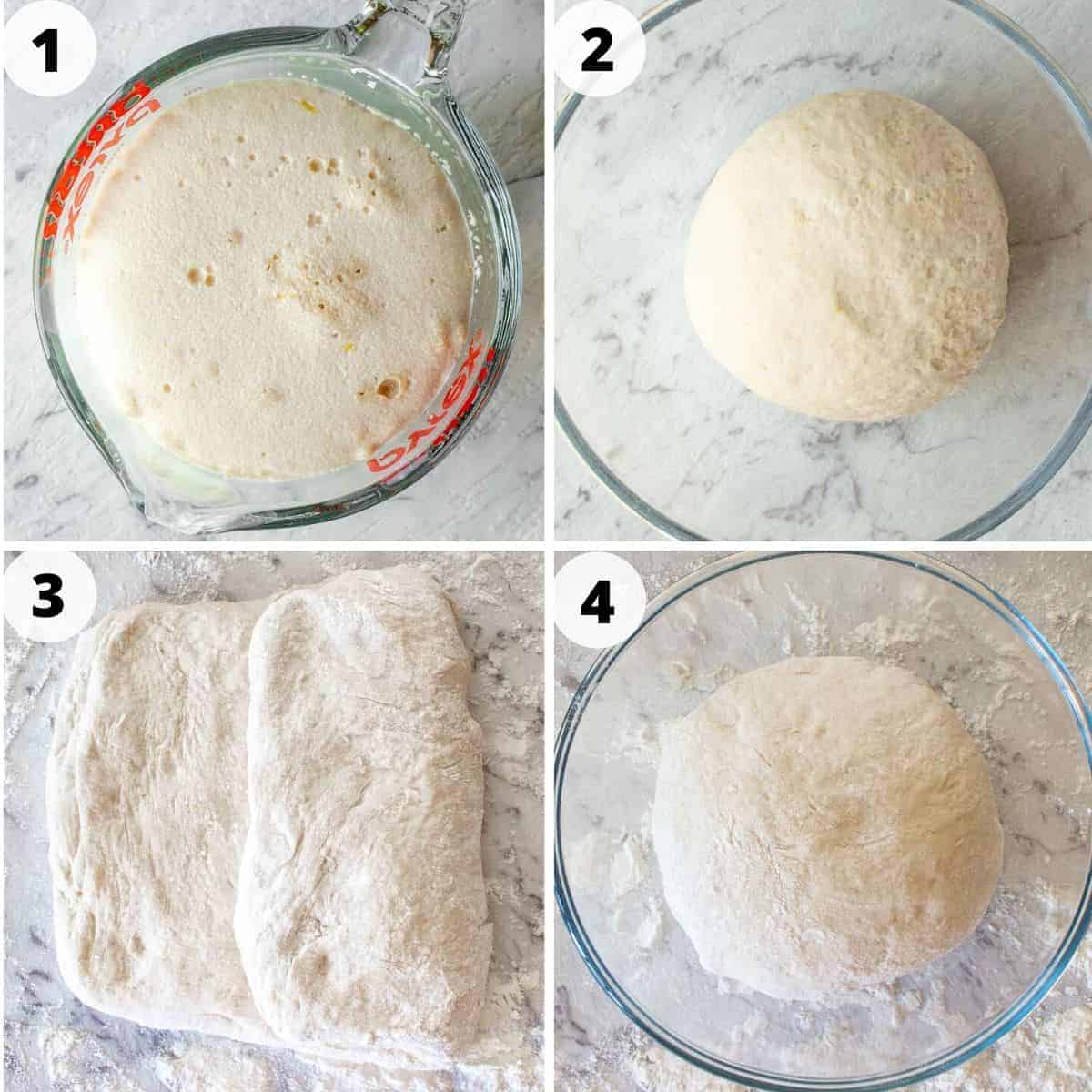 4 image collage. image 1 is yeast proving in glass jug. image 2 dough in glass bowl. image 3 flattened dough partly folded. image 4 risen dough in bowl.