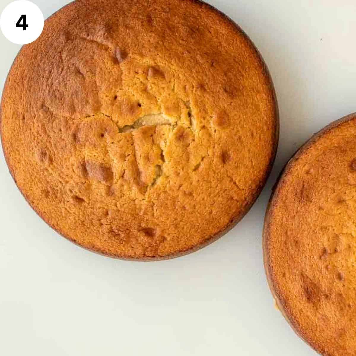 Overhead view of two baked plain cakes.