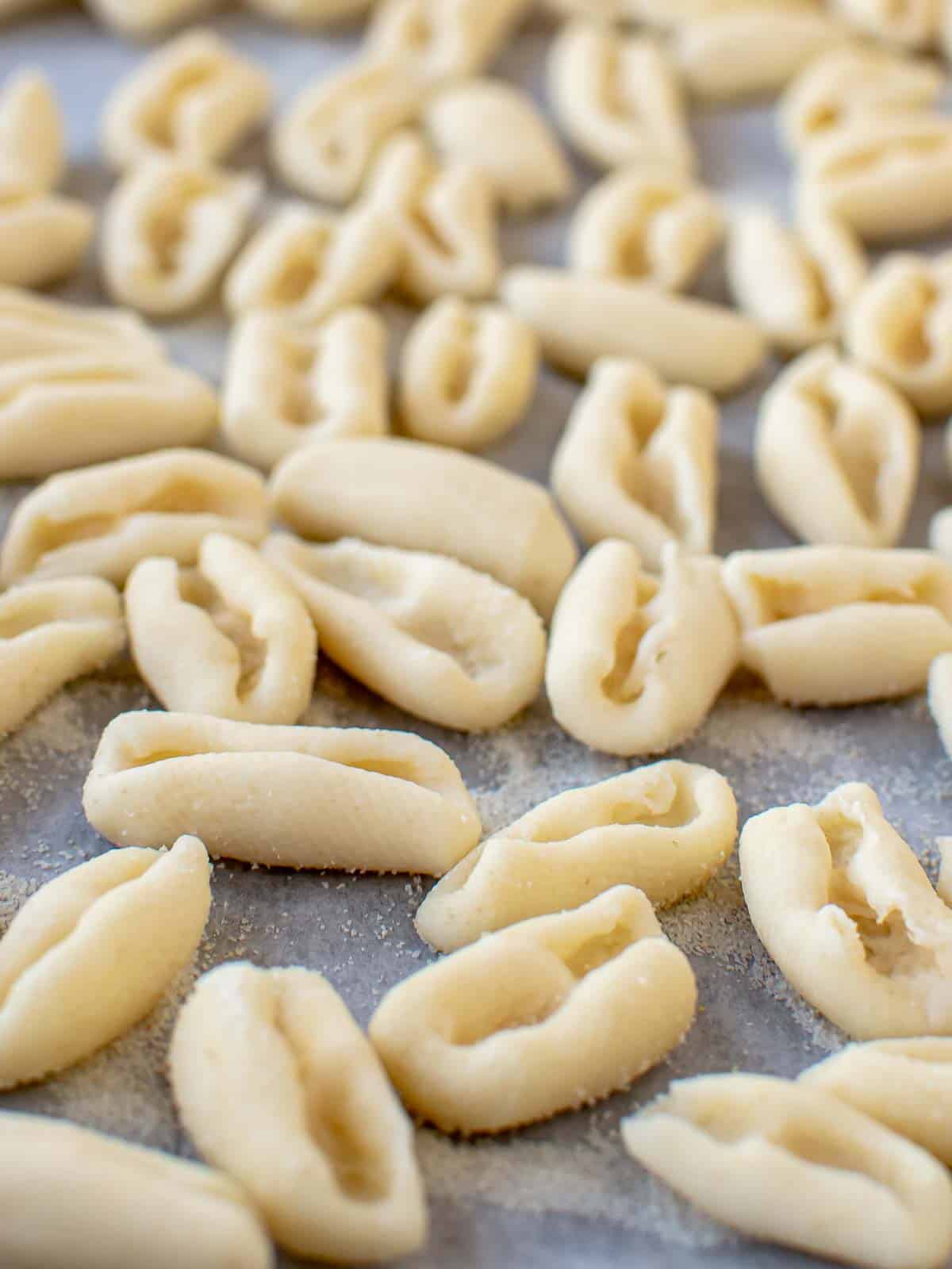 homemade cavatelli pasta