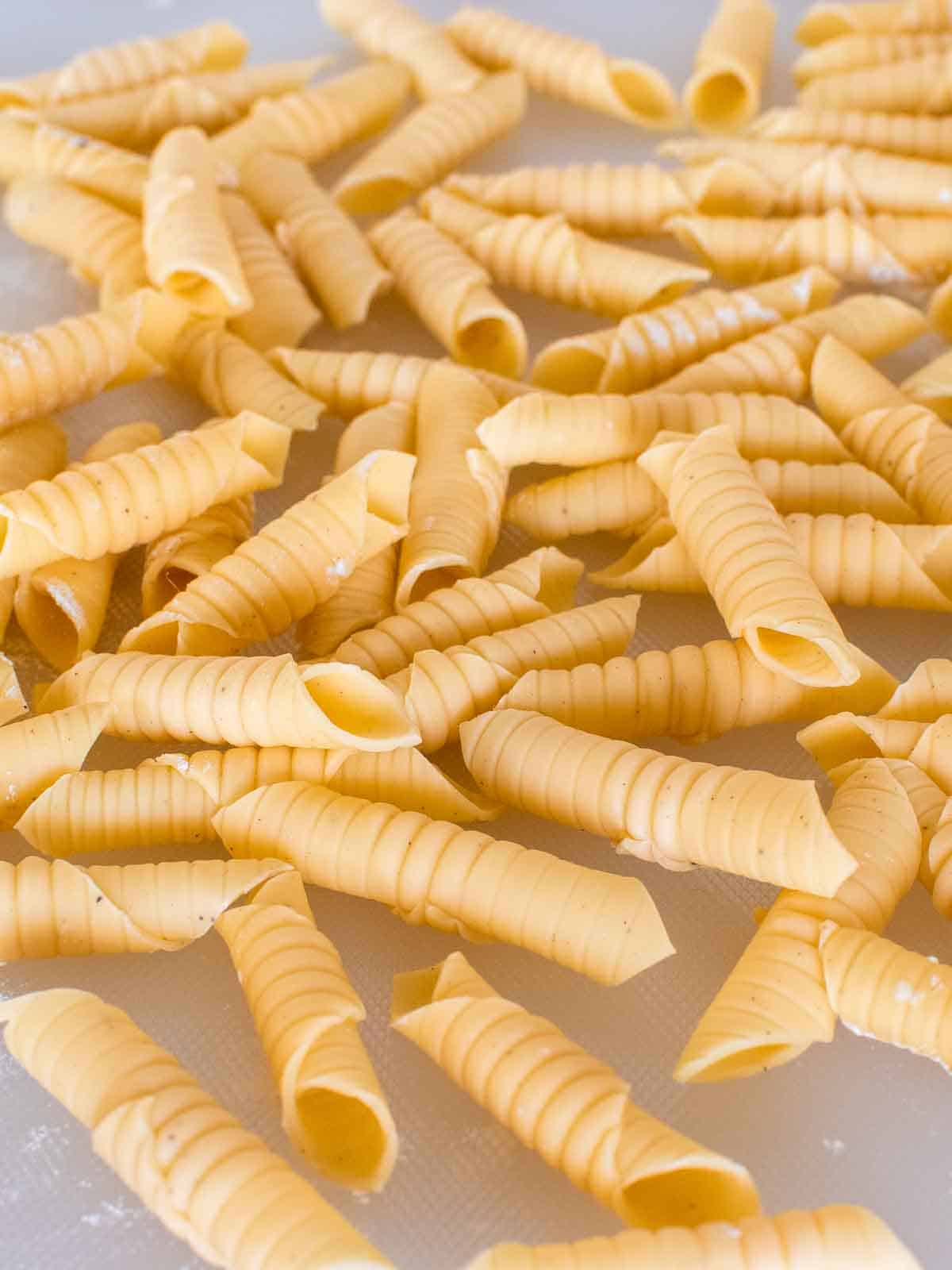 A closeup of garganelli pasta.