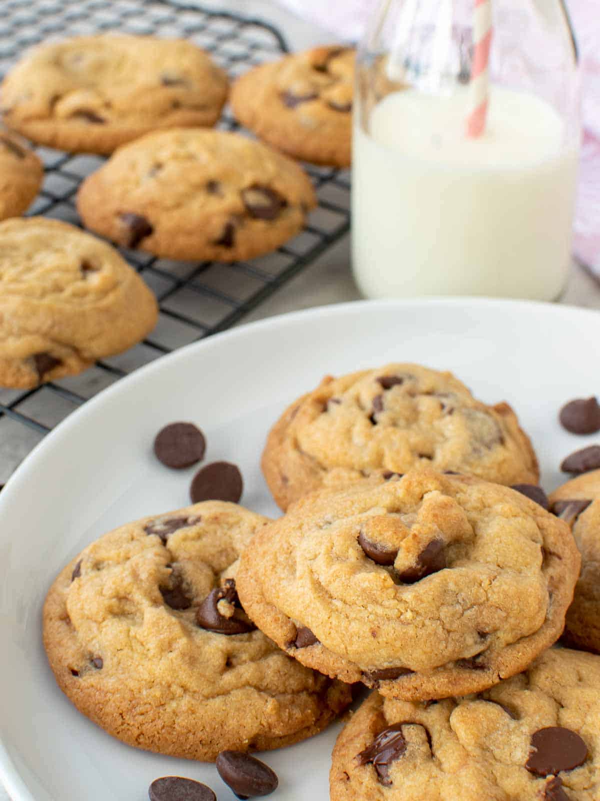 Chocolate chip cookies on a white plate with bottle of milk in the background and more cookies on wire rack.