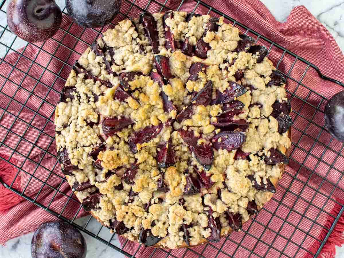 german plum cake on black wire rack viewed from above.