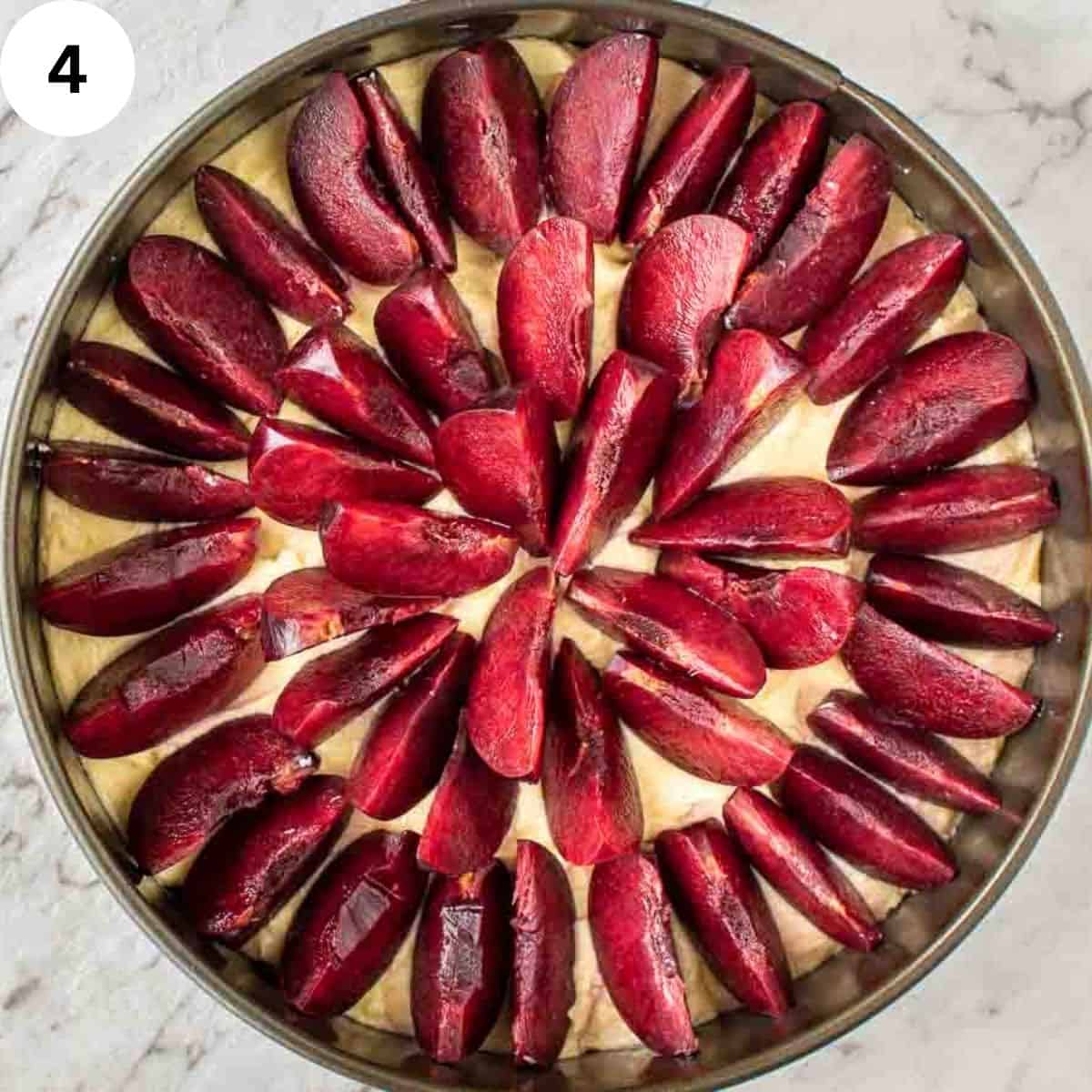 Overhead view of sliced plums arranged in a concentric pattern over cake batter.