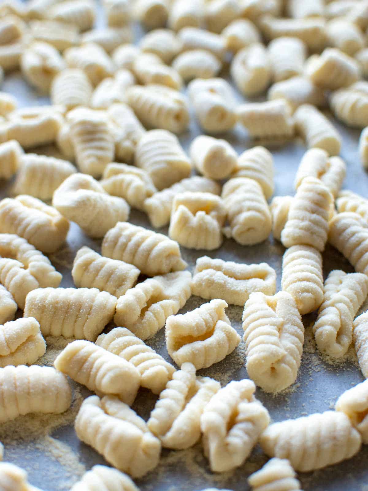 close up of uncooked ricotta cavatelli.