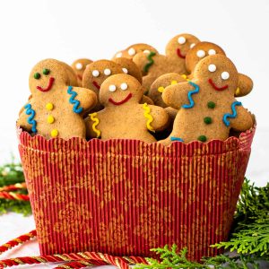 gingerbread people in red box surrounded by green leaves and red cord.