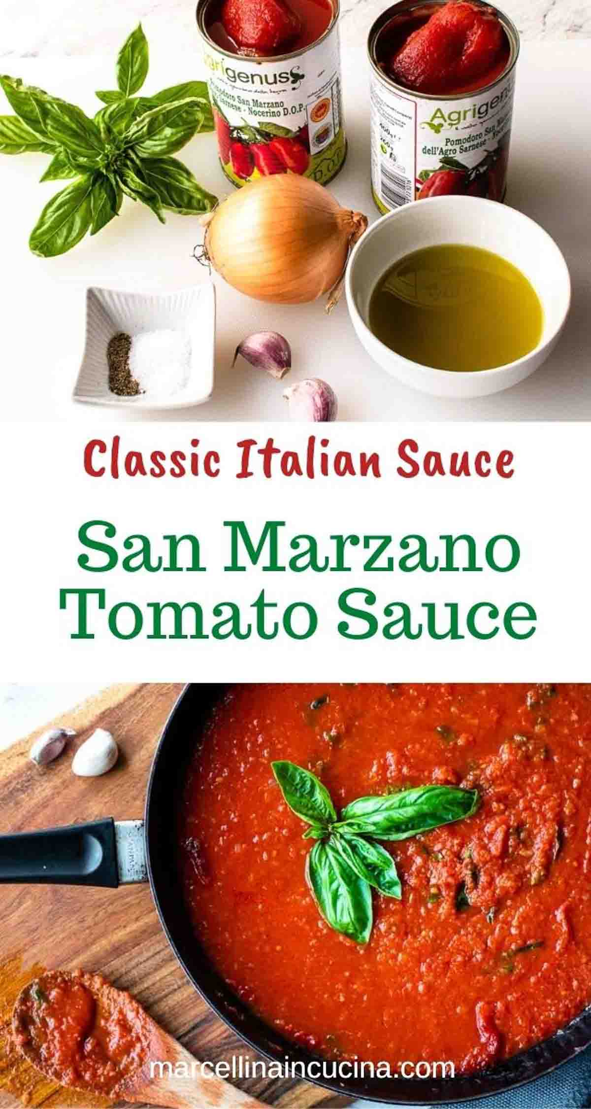 San Marzano Tomato Sauce (30 Minute Family Recipe)