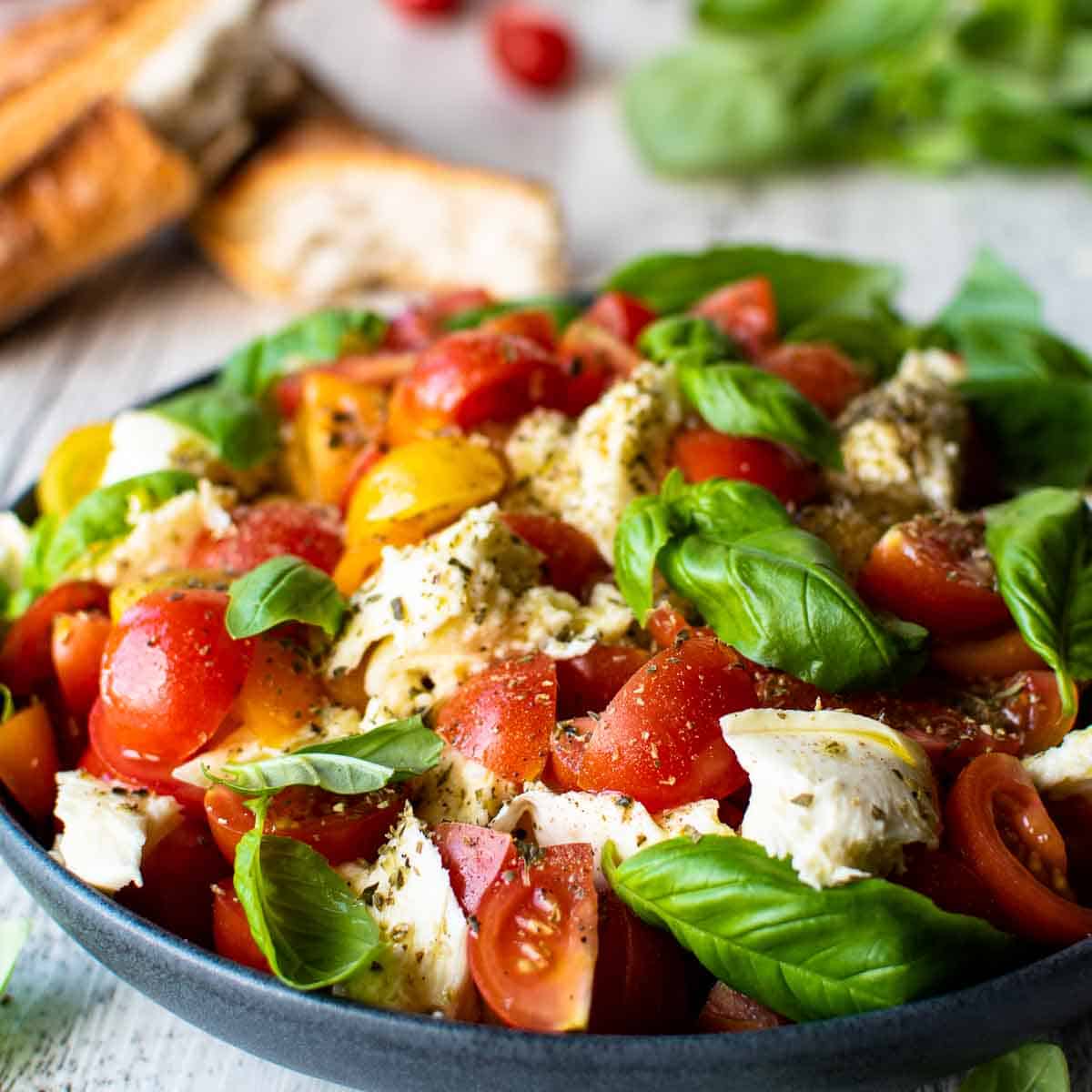 Shallow bowl of tomato, basil and mozzarella salad.