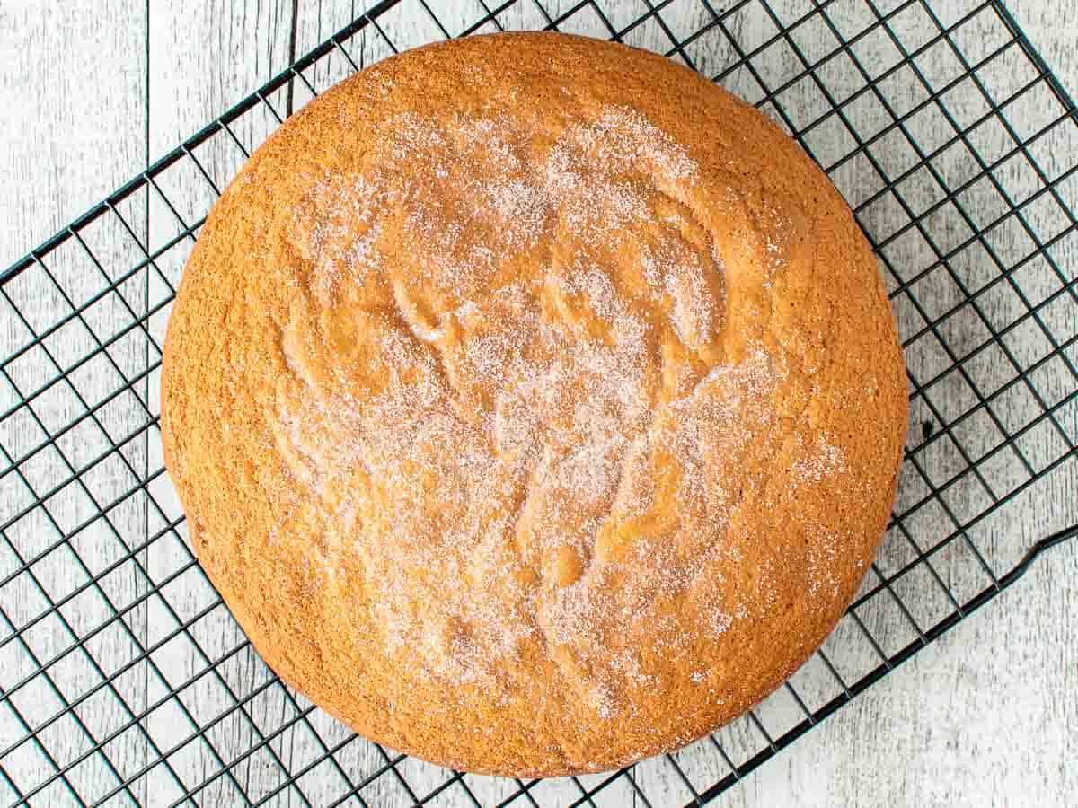 Italian sponge cake viewed from above.