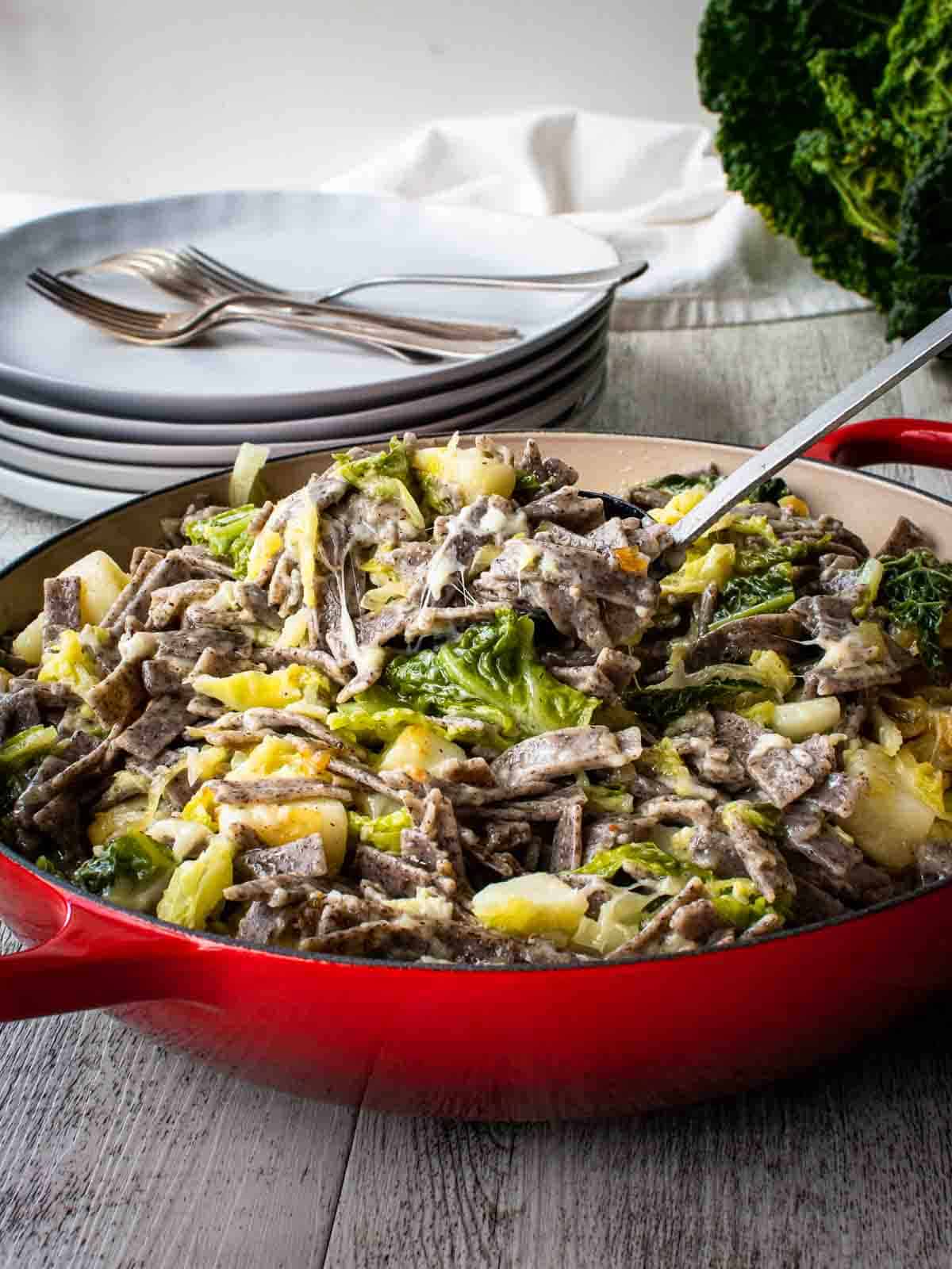 Pizzoccheri pasta with cabbage and potatoes in red pan.