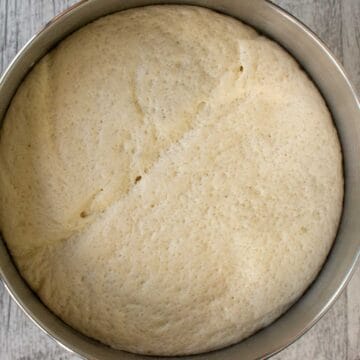 Risen bread dough viewed from above.