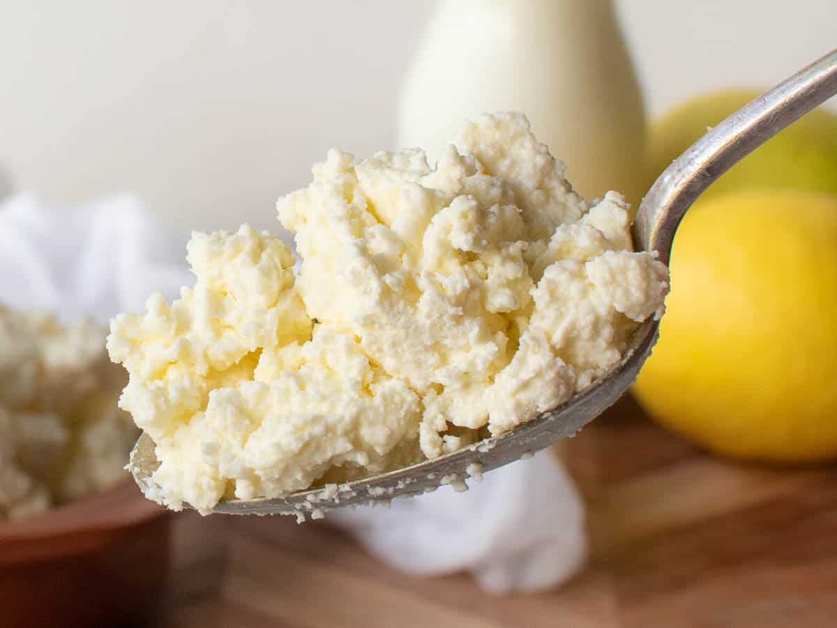 Close up of a spoonful of ricotta cheese.
