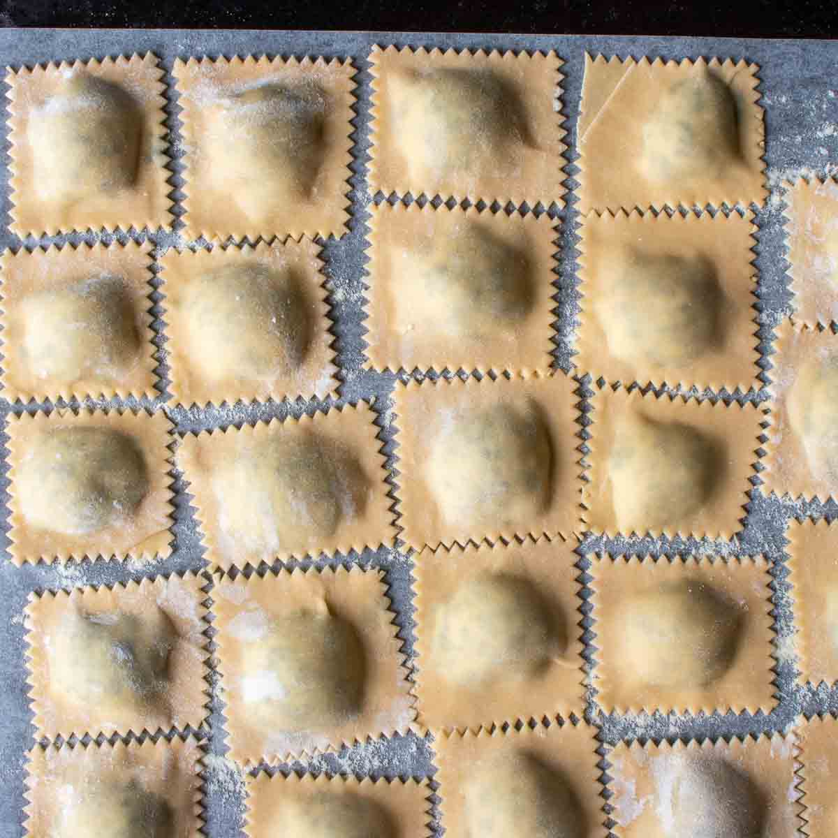 Filled ravioli arranged on a baking sheet.