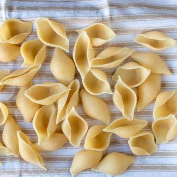 Cooked shell shaped pasta on a kitchen towel.