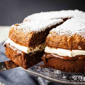 A two layered Nutella Cake filled with gooey chocolate and cream with a slice cut.