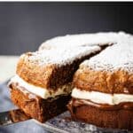 A two layered Nutella Cake filled with gooey chocolate and cream with a slice cut.