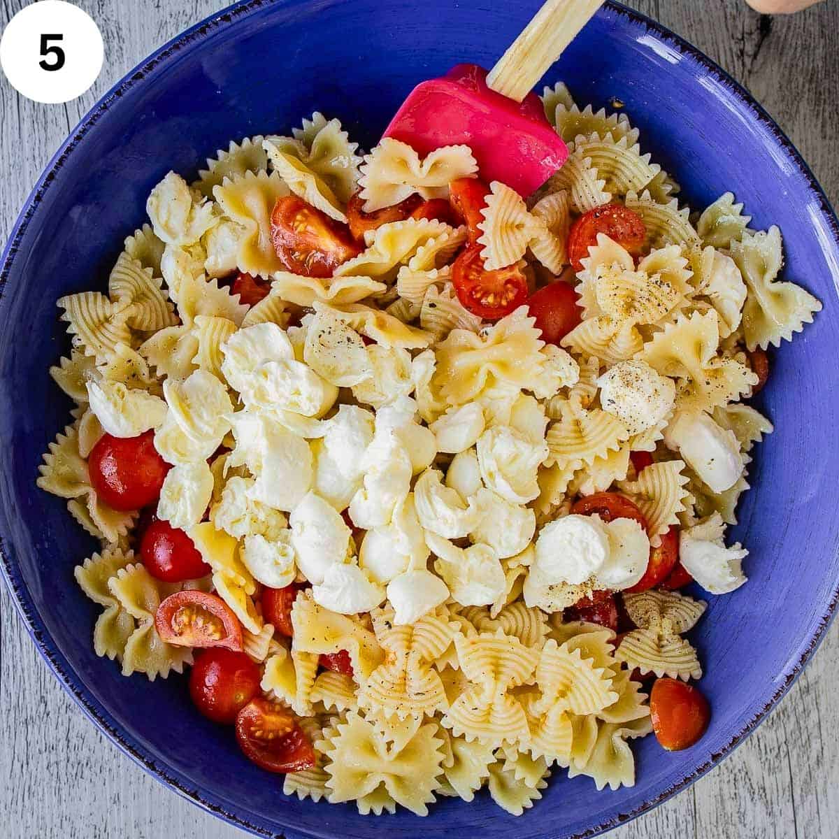 Combining farfalle pasta, chopped tomatoes and bocconcini.