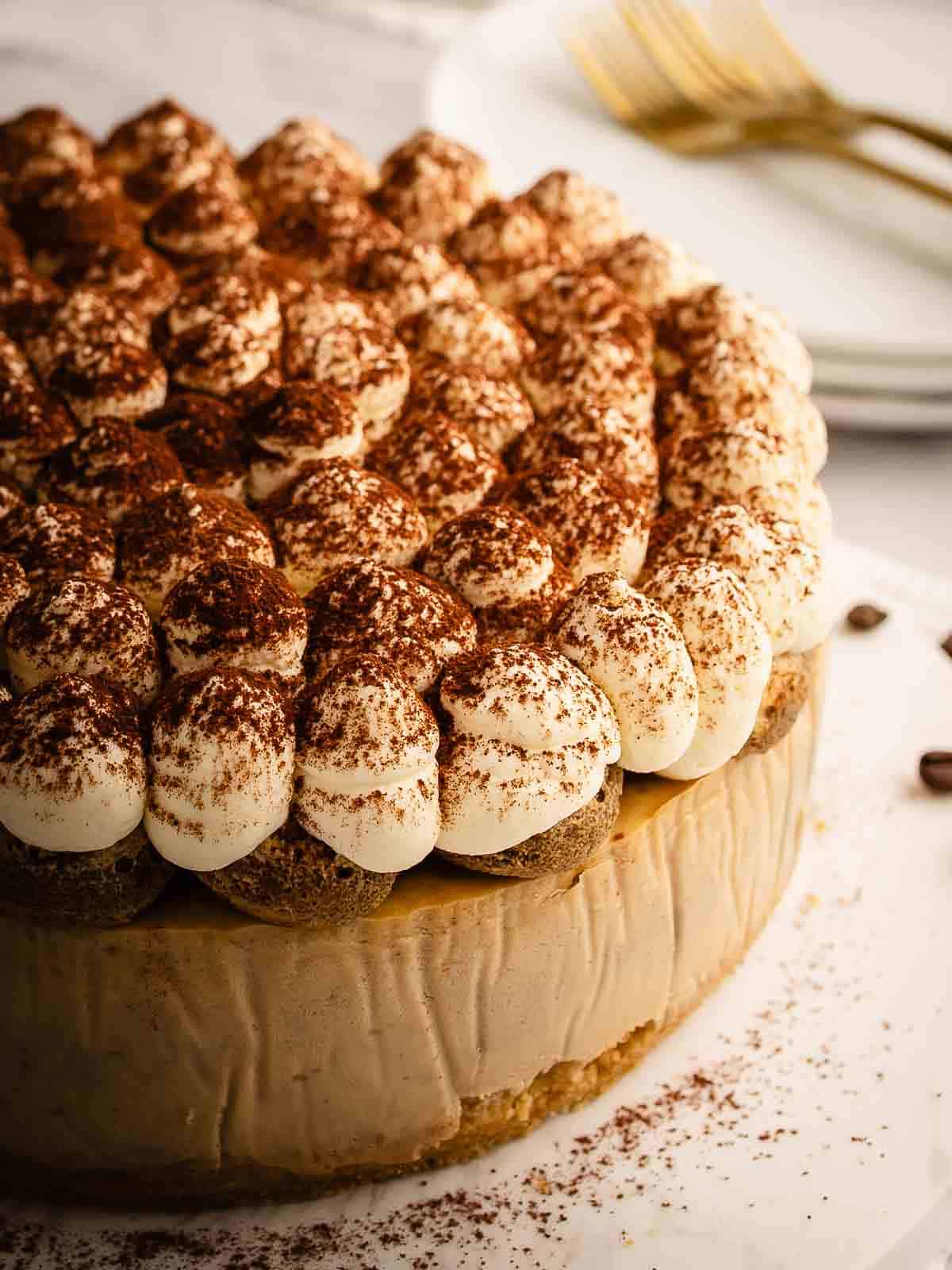 A whole baked cheesecake with a piped cream topping sprinkled with cocoa.