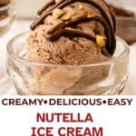 Nutella ice cream scooped into a dessert glass with Nutella drizzle and chopped hazelnuts